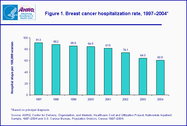 Figure 1. Bar chart showing breast cancer hospitalization rate, 1997-2004*